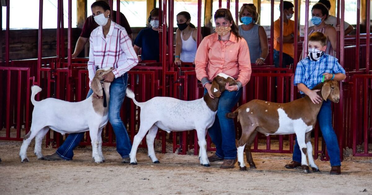 Butler Co. fair is on this summer, but with restrictions Butler Co. fair is on this summer, but with restrictions