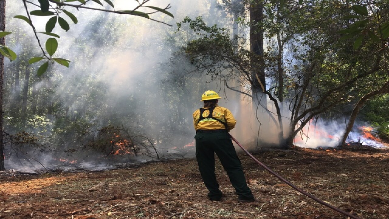 Pasco County issues burn ban, district closes campgrounds ...