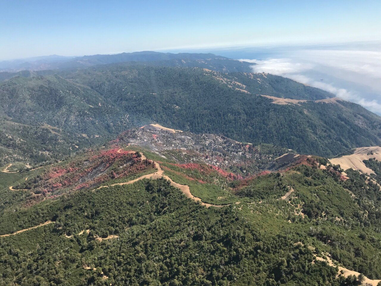 Aerial photos of Mill Fire in Big Sur. Photo Courtesy: Los Padres National Forest