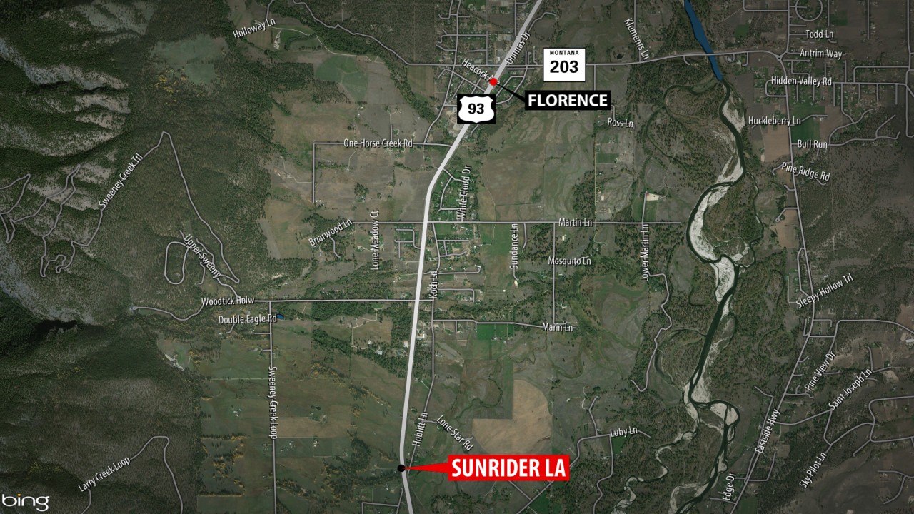 Florence Mountain Lion.png