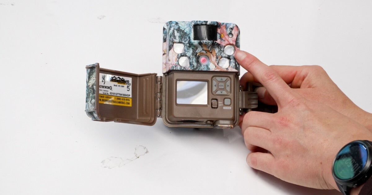 New camera at Chorro Creek gives Morro Bay National Estuary Program fresh eyes on wildlife