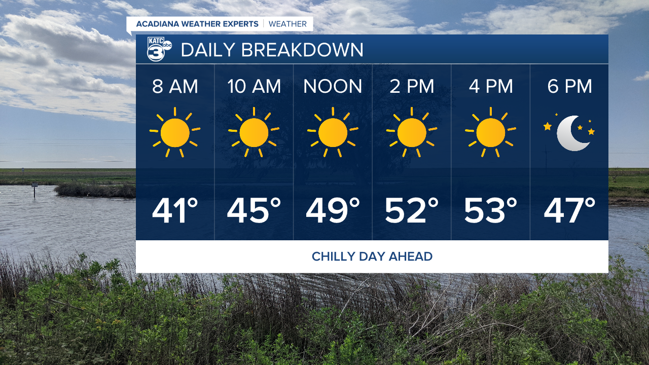 Vert Planner 6 - Hourly.png