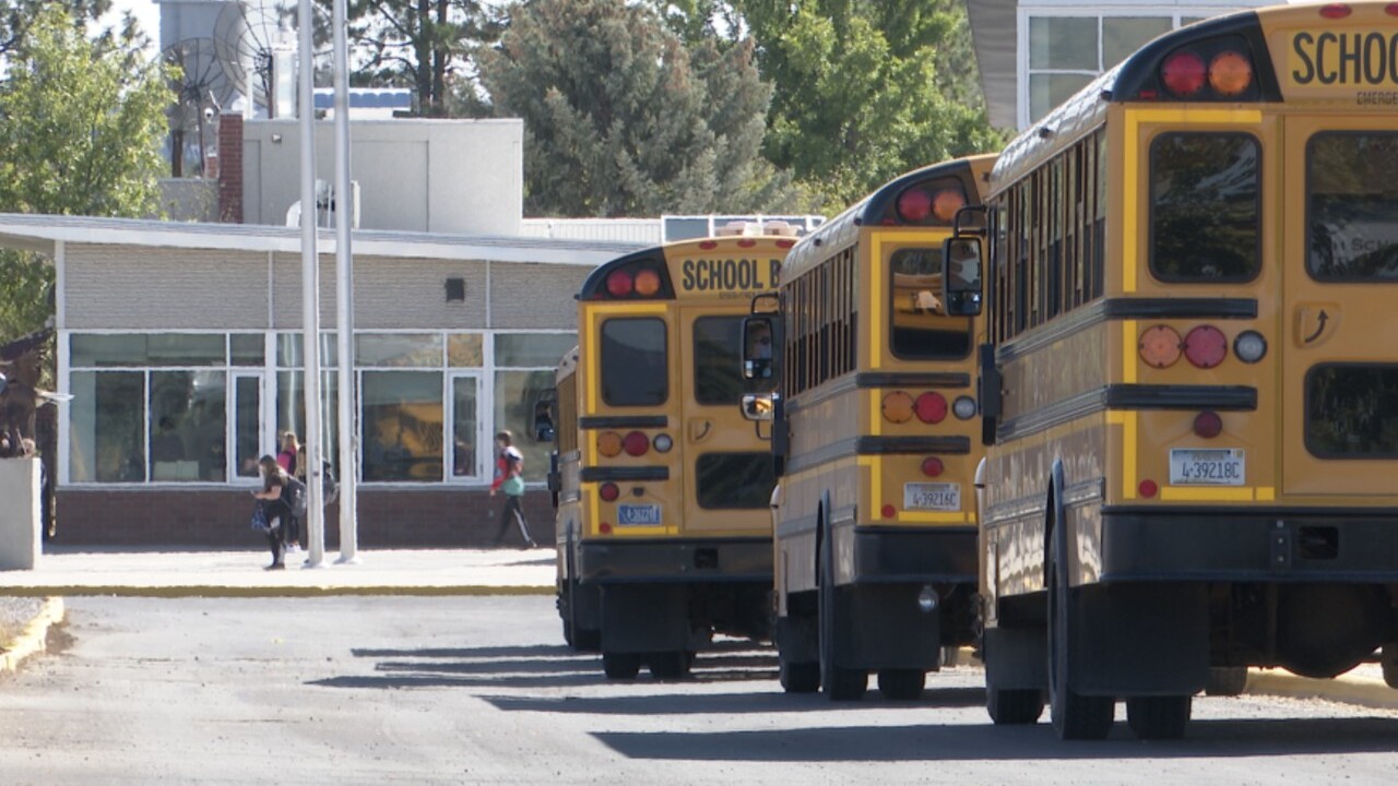 School Buses