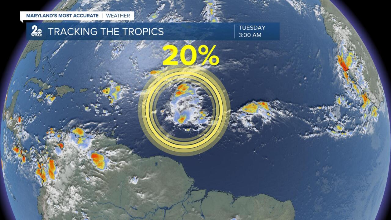 20 percent tropics.jpg