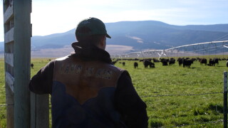 Mannix Ranch