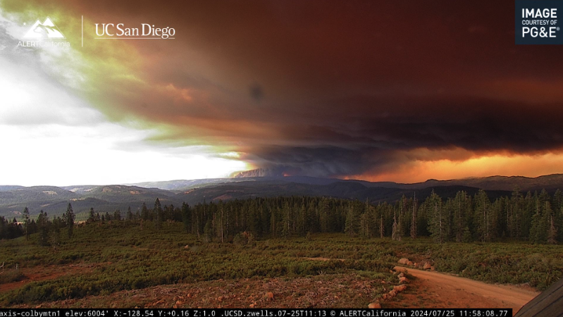 Screenshot 2024-07-25 at 12.59.23 PM.png