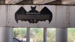 Campbell Avenue "Bat Bridge"