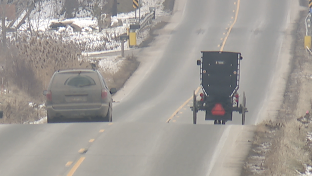 Buggy on the road
