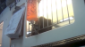 New undercover HSUS video accuses Petland chain of having sick and dying puppies