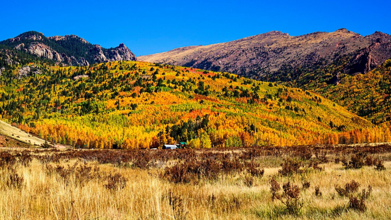 Highway 67 Between Divide and Cripple Creek