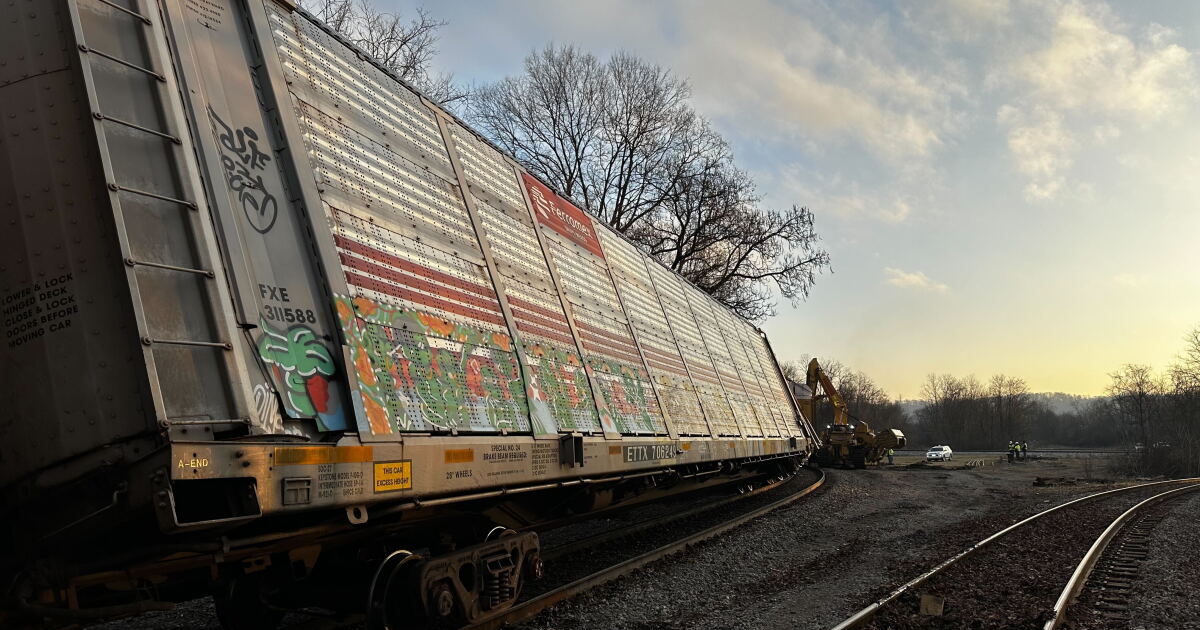 Four train cars derail in Covington, crews and cranes work to upright two - Vimarsana News