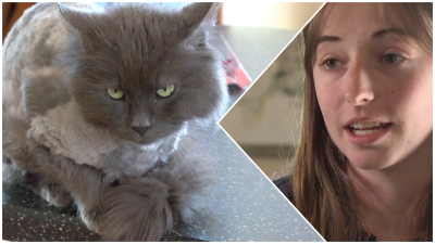 A collage of a woman with her cat.