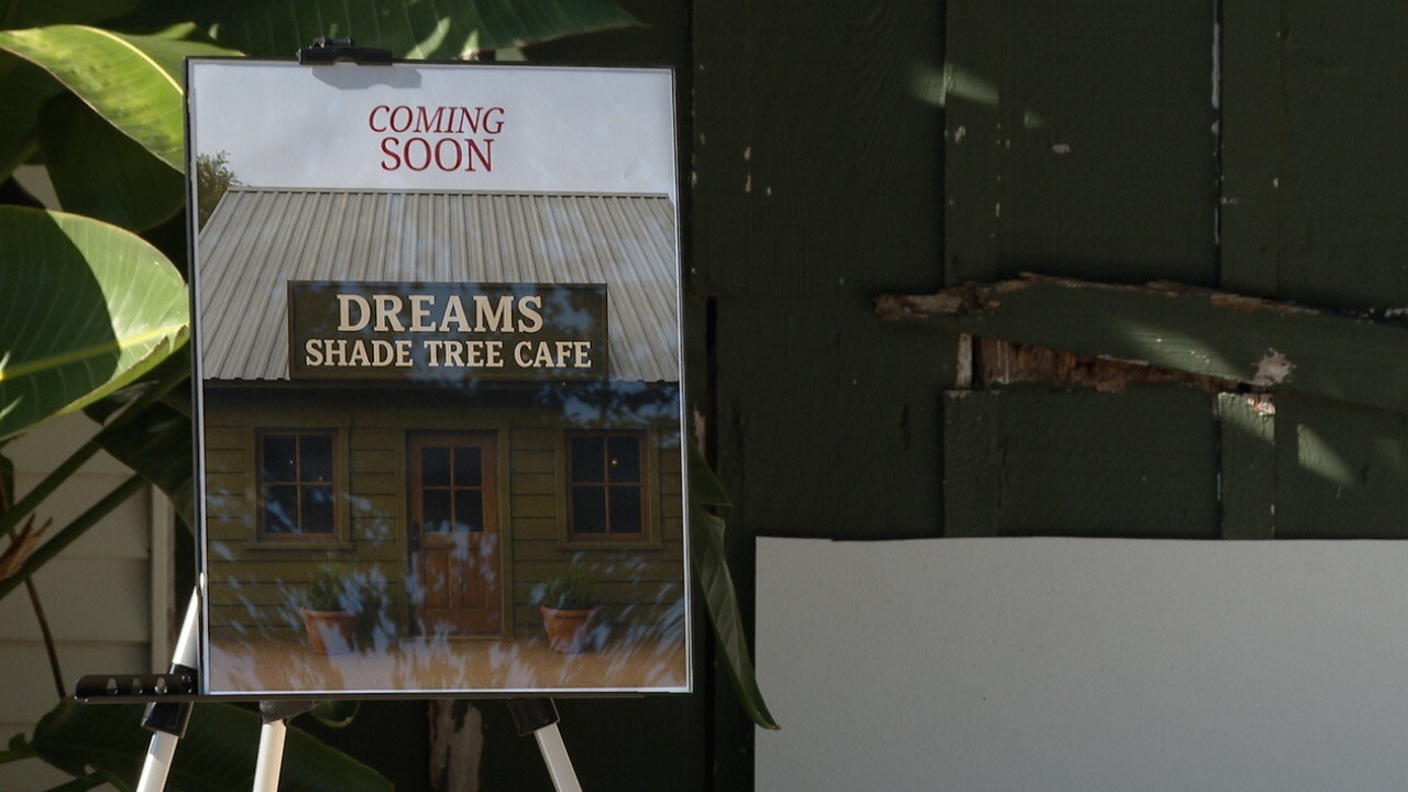 DREAMS Shade Tree Cafe rendering