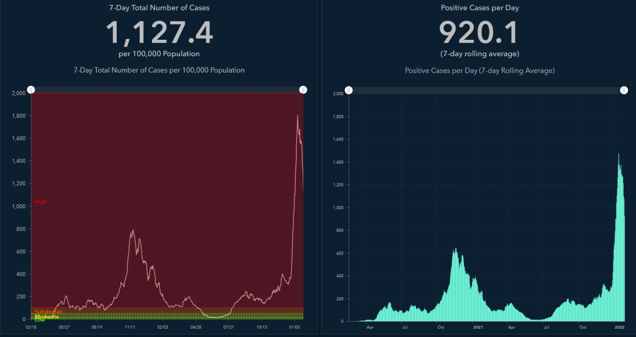 thumbnail_January 28 Case Graph.png