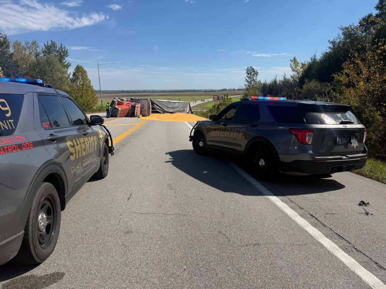 highway corn.jpeg