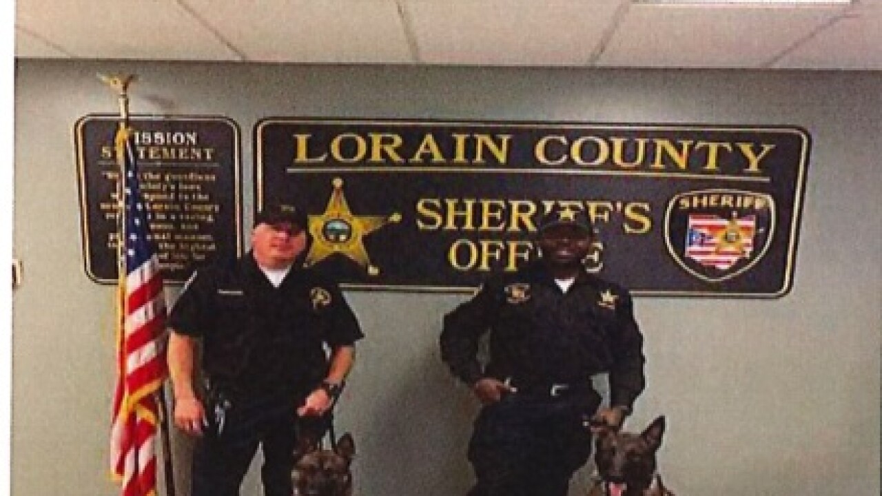 Lorain County Sheriff's Office 2 new K9s to jail division