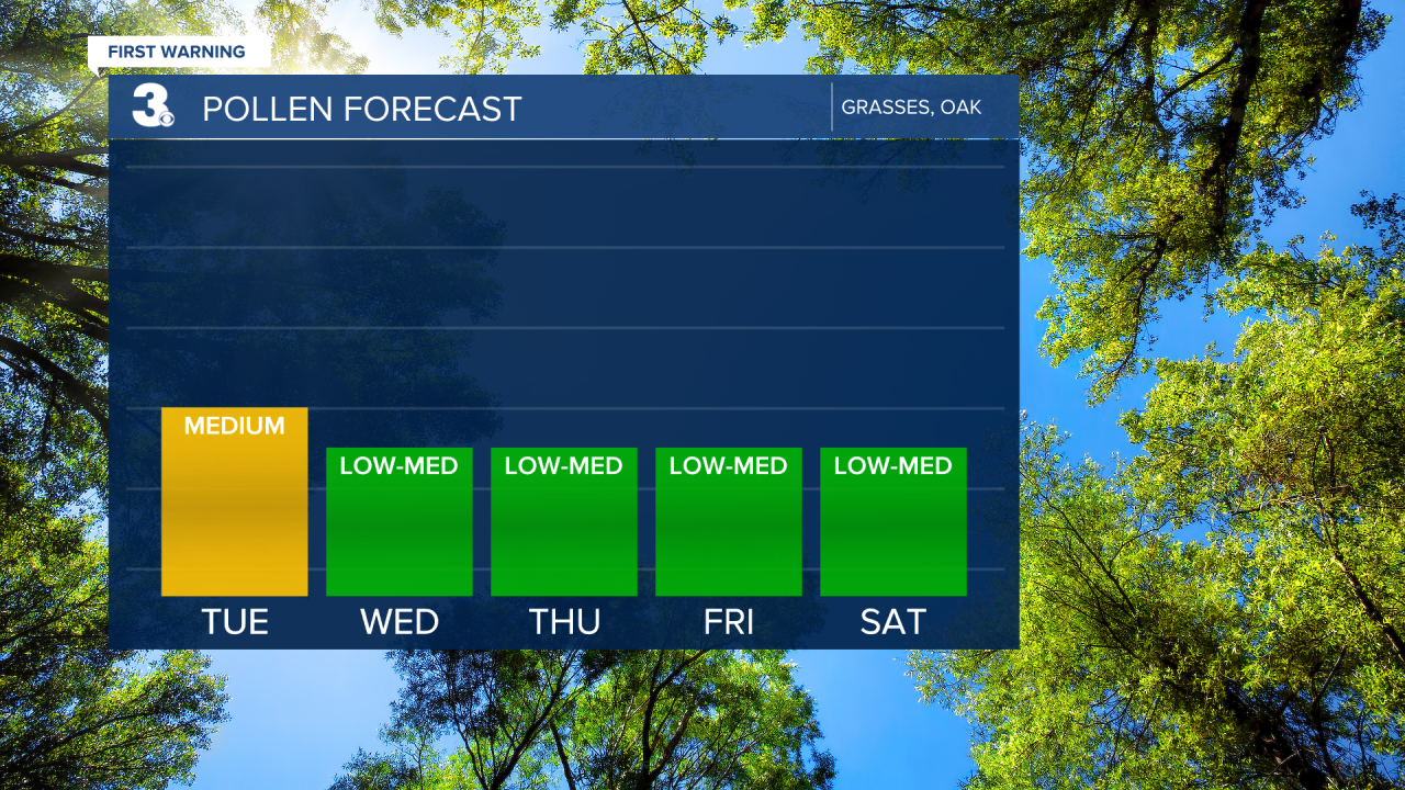 Pollen Bar Graph.png