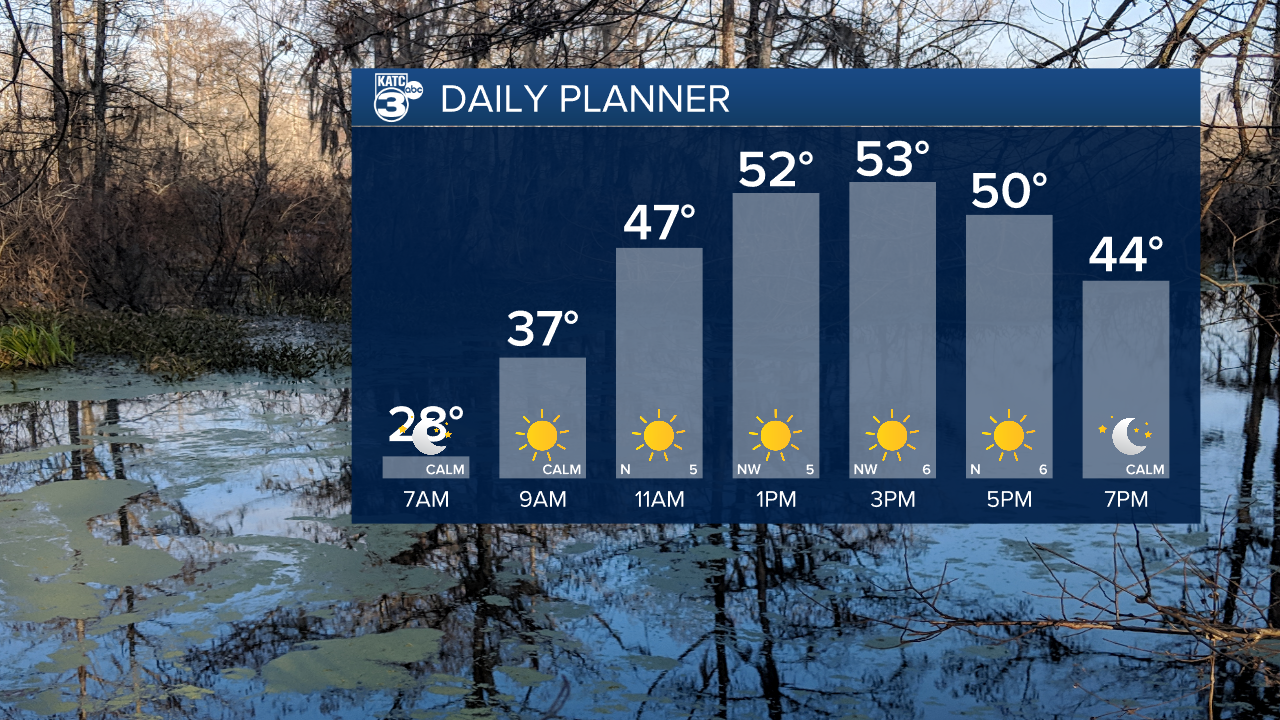 Daniel Day Planner.png