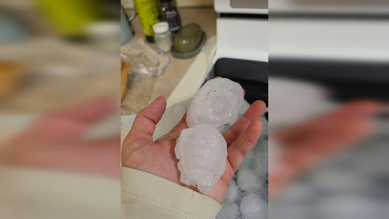 hail4_2.5.1.jpg
