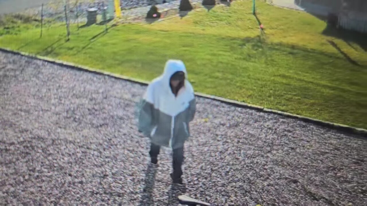 Bike Thief_1.2.1.jpg