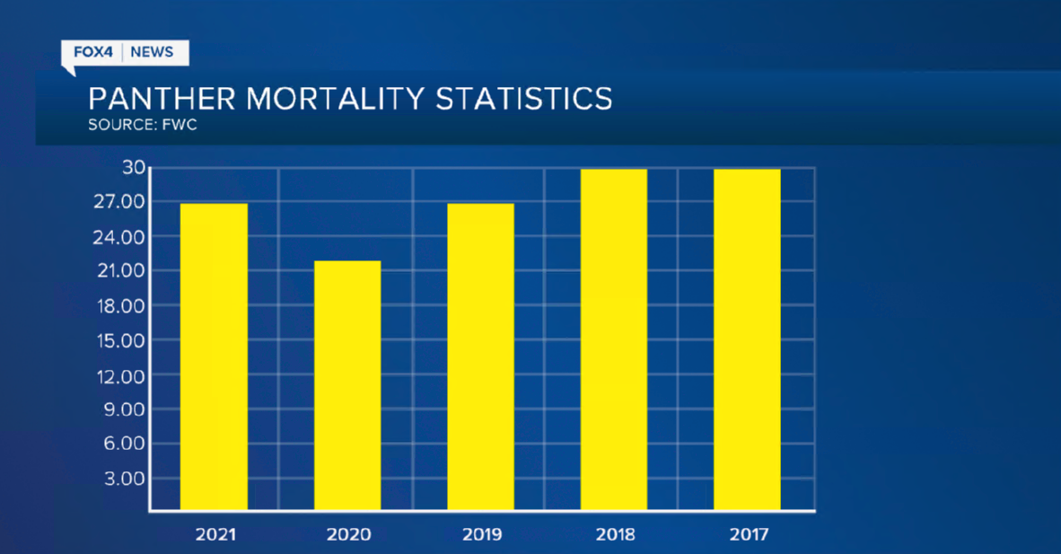 panther death 2017-2021