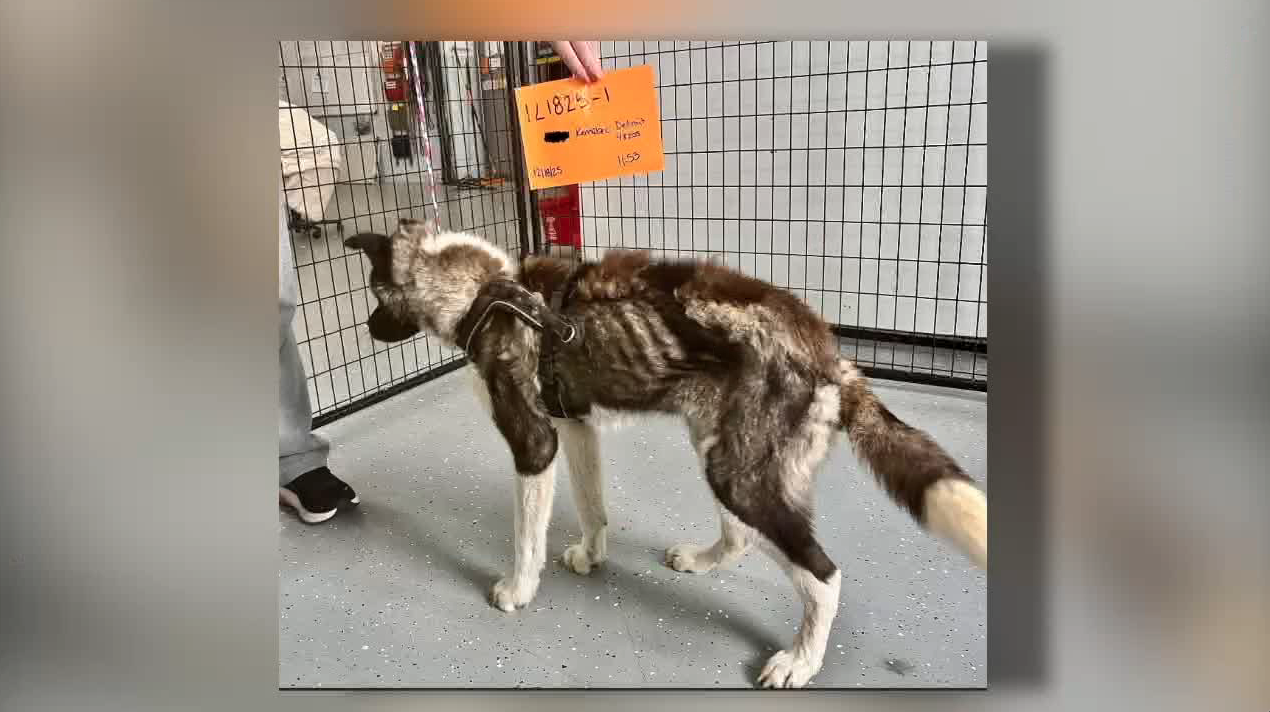 Screenshot 2025-12-22 at 6.35.35 PM.png