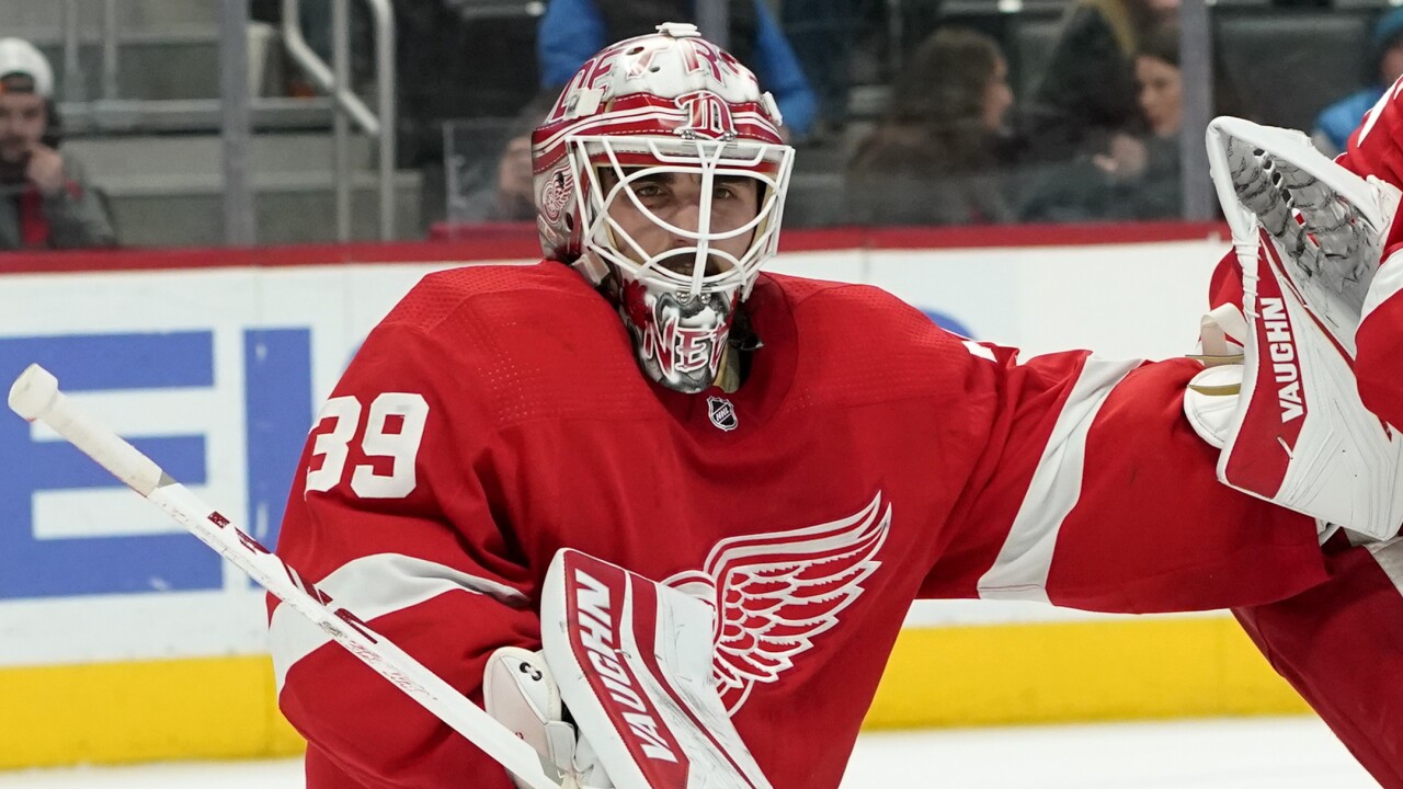 FILE Alex Nedeljkovic Red Wings Hockey