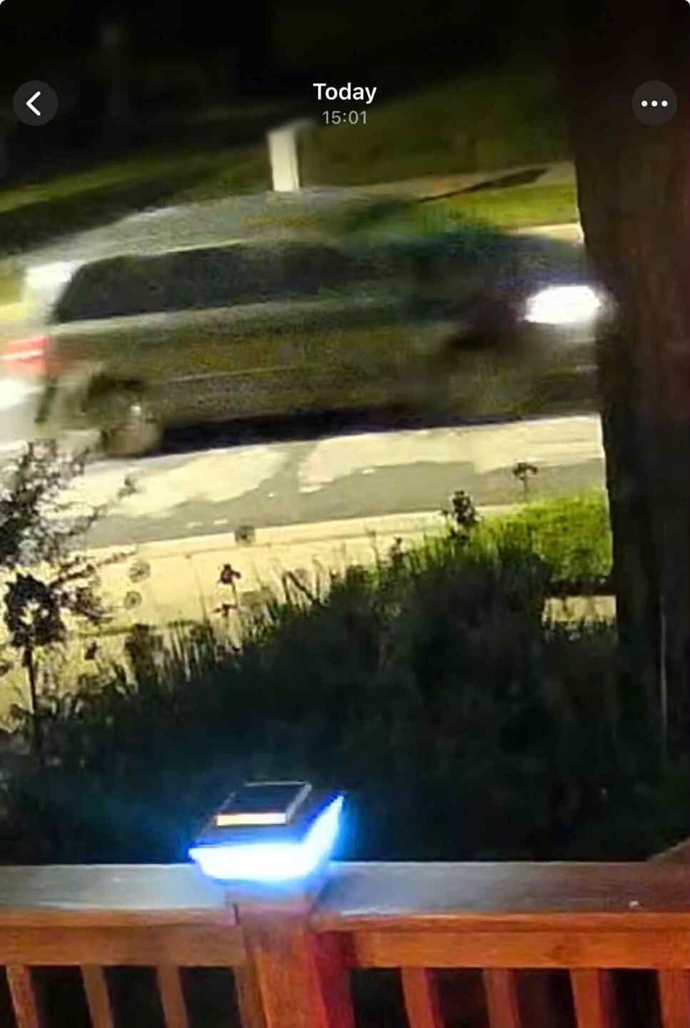 Gray Van Pride Flag Stolen