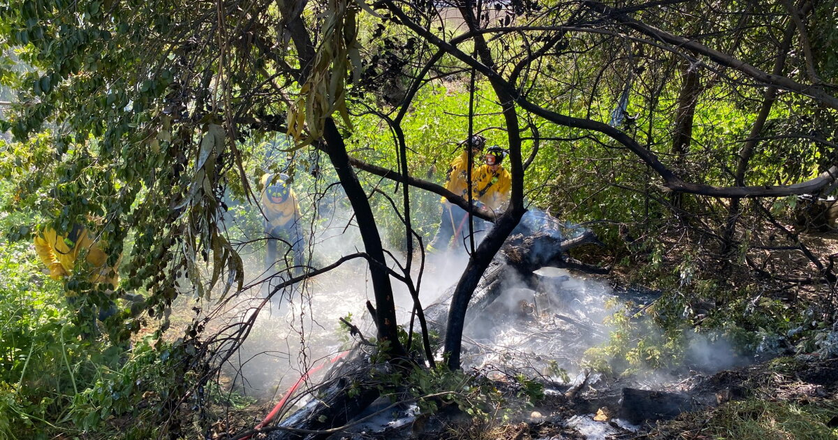 Firefighters quickly contain vegetation fire behind San Luis Cemetery
