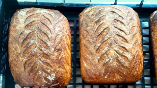BreadHQ.jpg