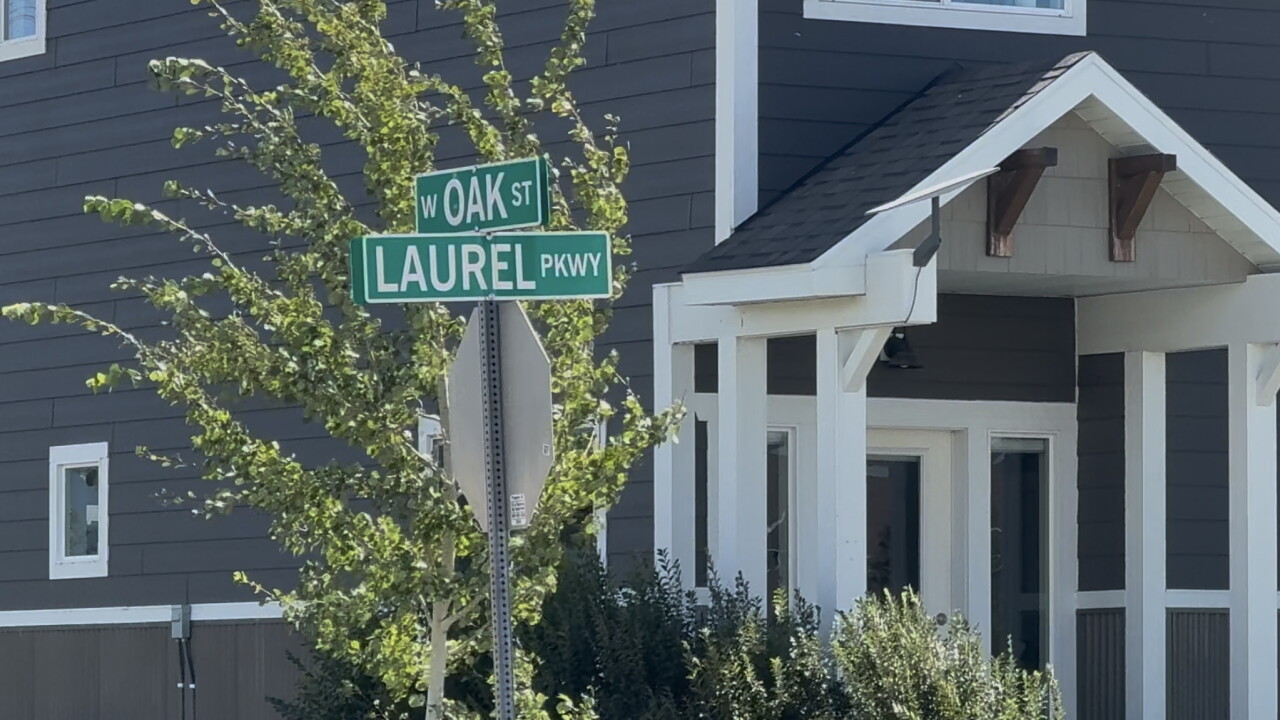 Oak and Laurel 