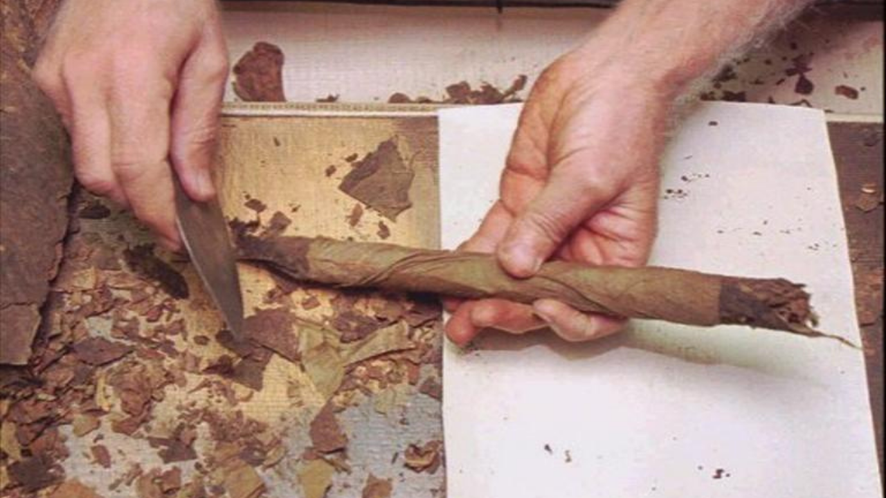 hand rolling cigars AP.png