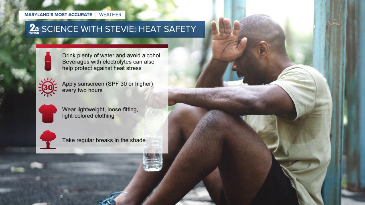 SCIENCE WITH STEVIE.jpg