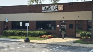 Grassroots.jpeg