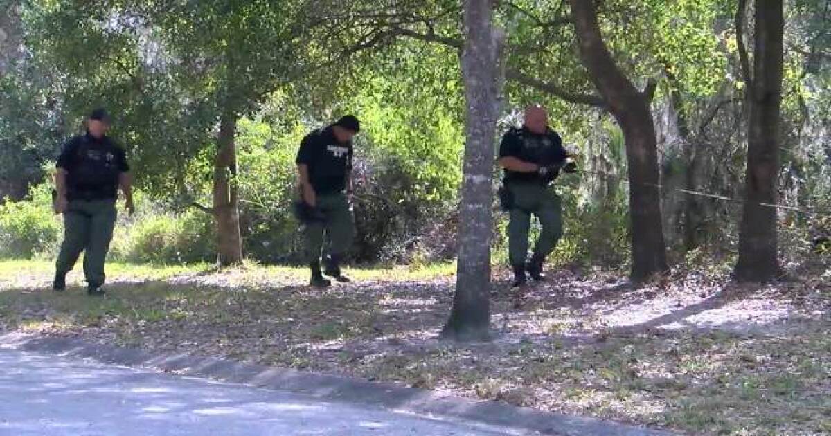 11-year-old girl with Asperger's syndrome reported missing in Hillsborough County