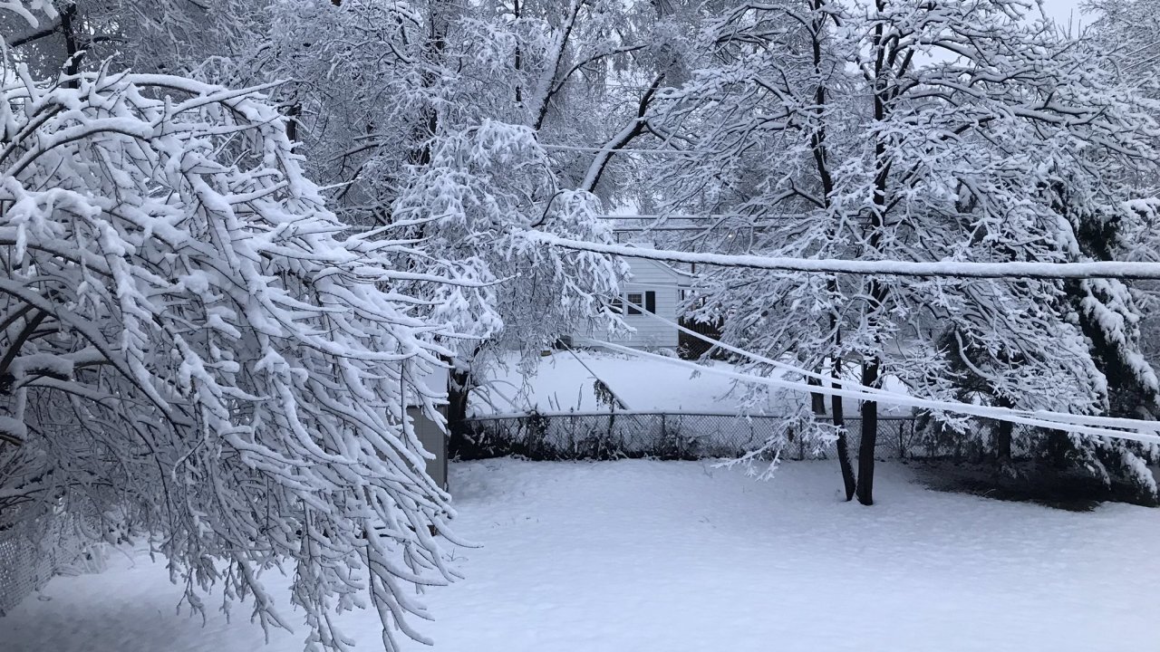 A "roller coaster winter" arrives for most of the United States, says Farmers' Almanac