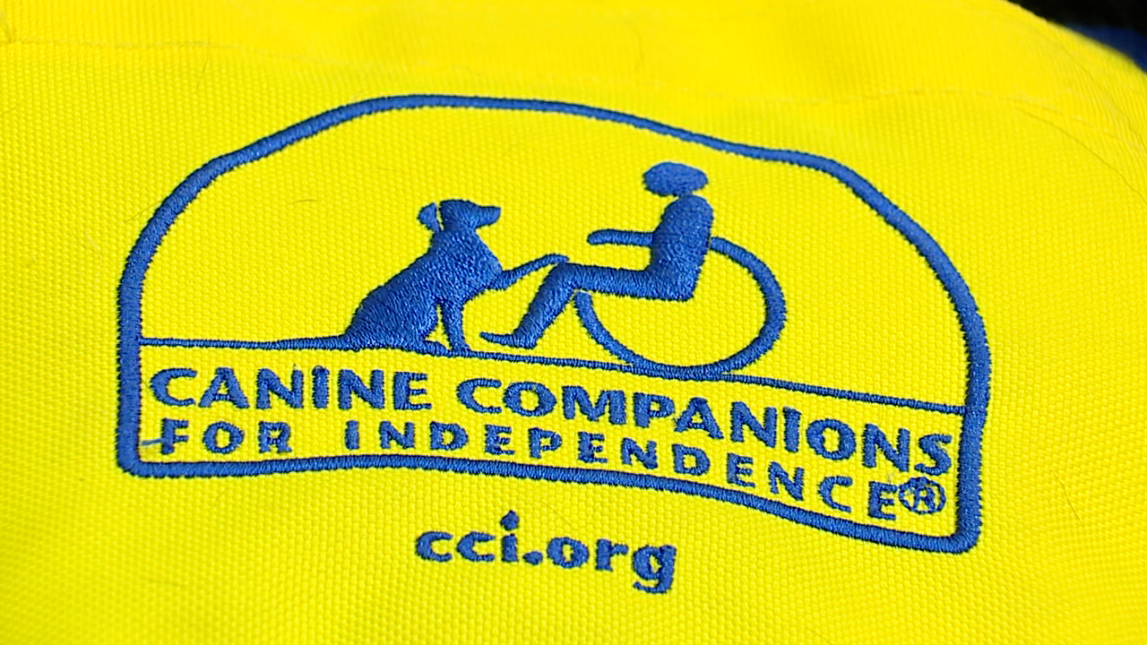 Eight-year-old raises money for service dogs