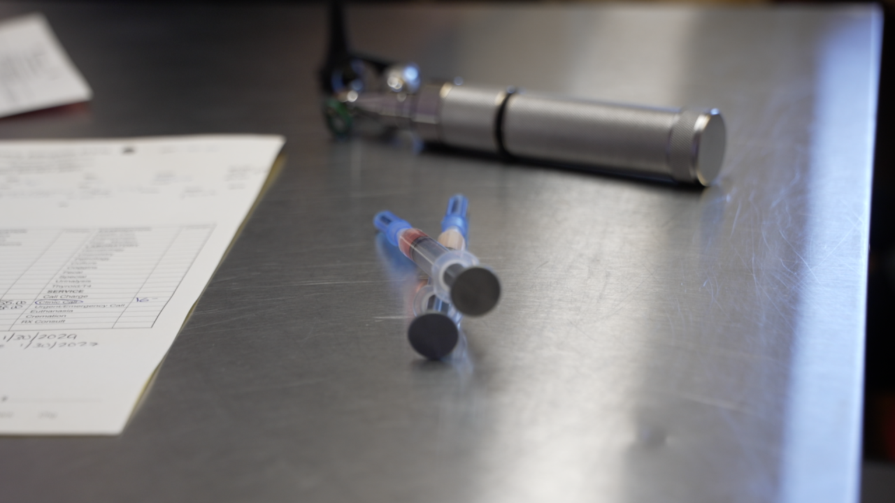 Canine Distemper cases found in Tehachapi foxes, officials urge pet vaccinations 