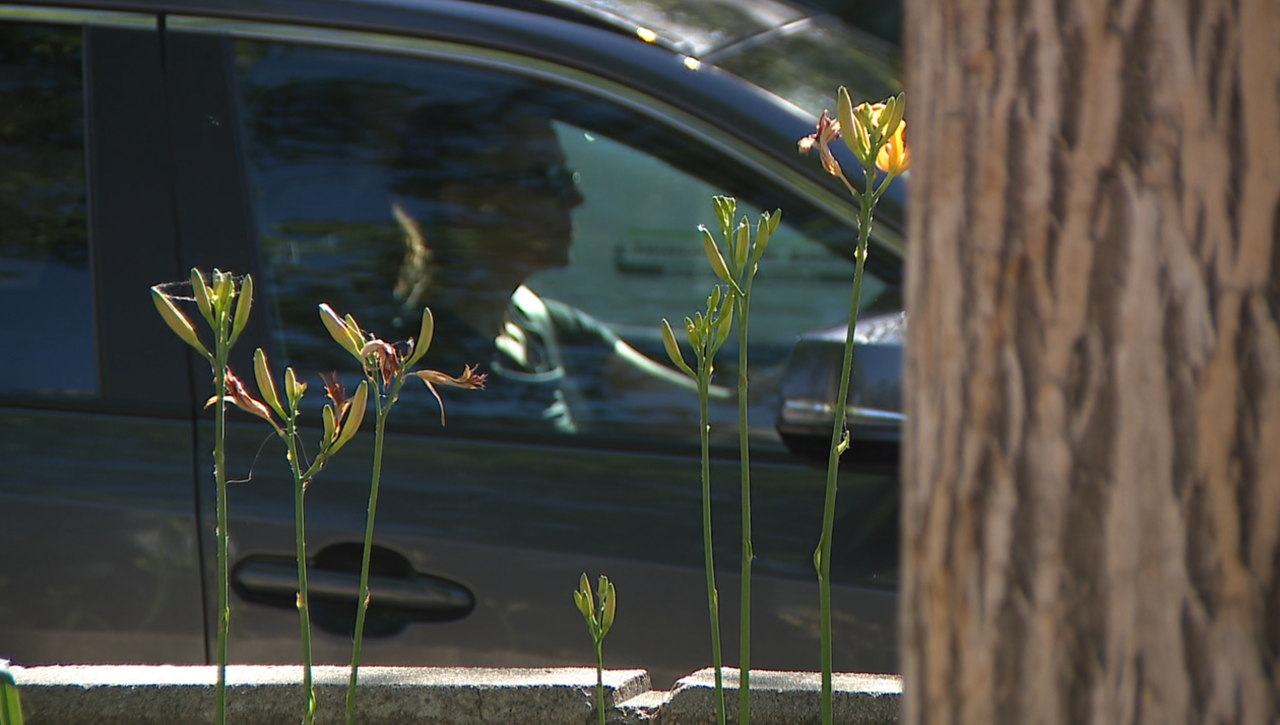 FORT COLLINS DRIVER.png
