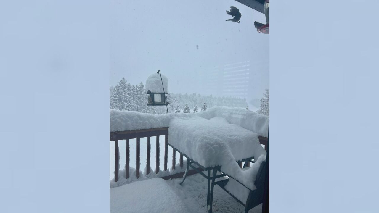 Heavy snow in Divide on Mother's Day