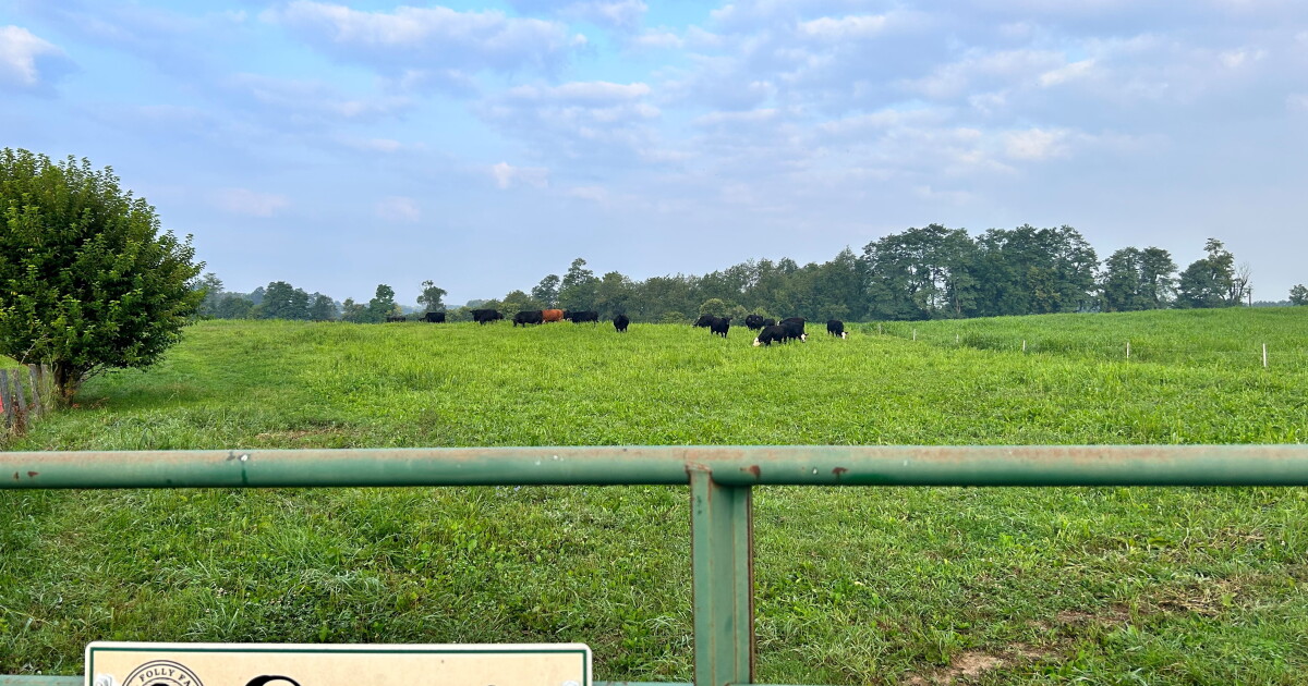 Mt. Folly Farm receives $1 million for climate smart innovation project - Vimarsana News