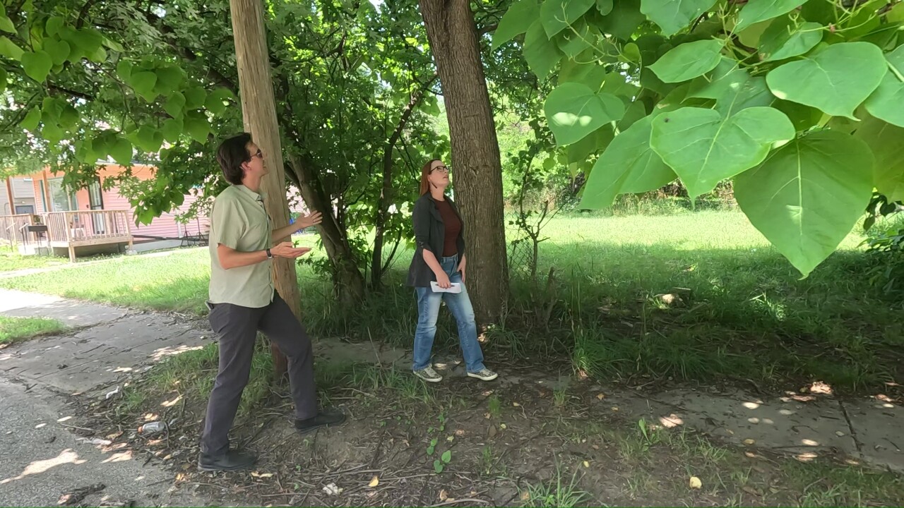 Isaac Robb of the Western Reserve Land Conservancy and News 5 reporter Michelle Jarboe look at conditions of vacant lots in the Hough neighborhood.