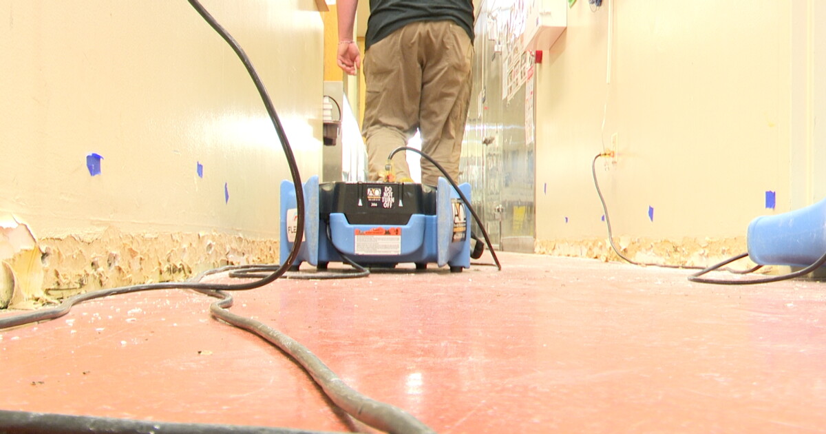 Billings restoration companies see record number of calls after weekend flooding - Vimarsana News