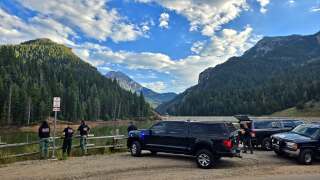 tibble fork sar.jpg