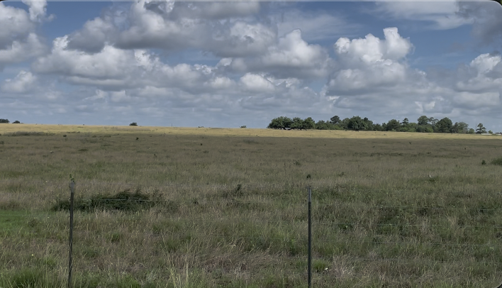 An unwanted neighbor: local residents speak out against a proposed data center in Grimes County