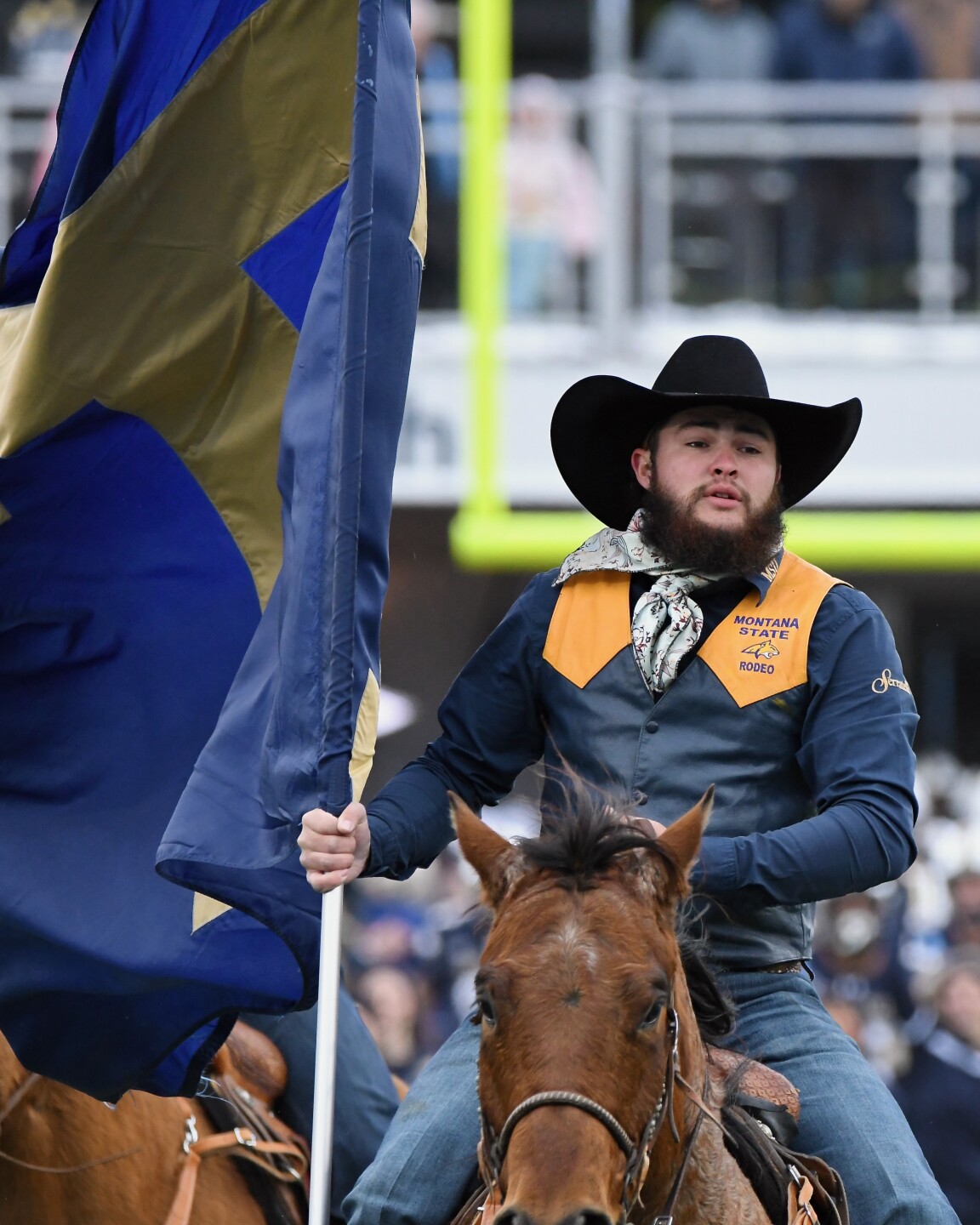 Montana State vs. Yale