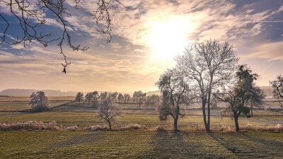 Winter Sunshine