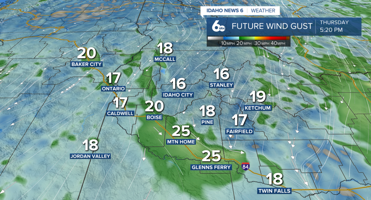 Future wind gusts