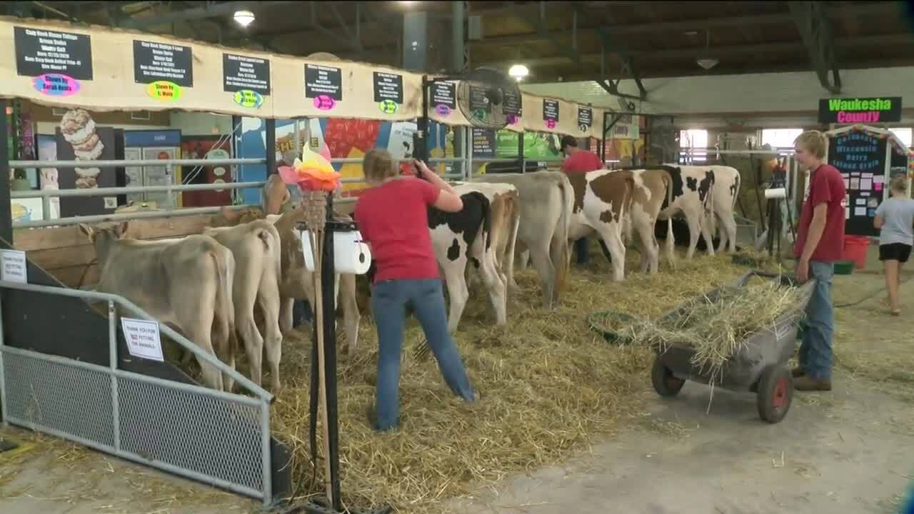 Poster image - 2021-08-04T223801.836.jpg