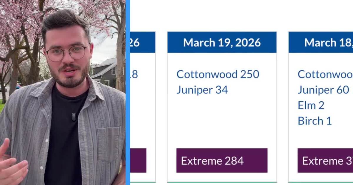 Boise metro area ranked the worst allergy city in the U.S.